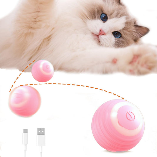 Automatic Interactive Ball